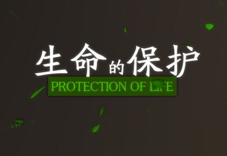 河南商業(yè)活動策劃如何才能有亮點呢?